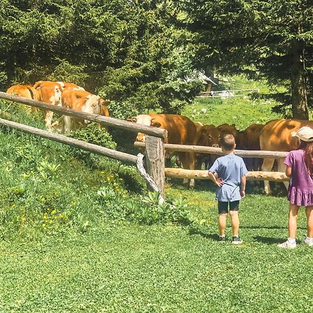 Velika Planina - Chalet Stane - Alps Stahovica Eksteriør billede