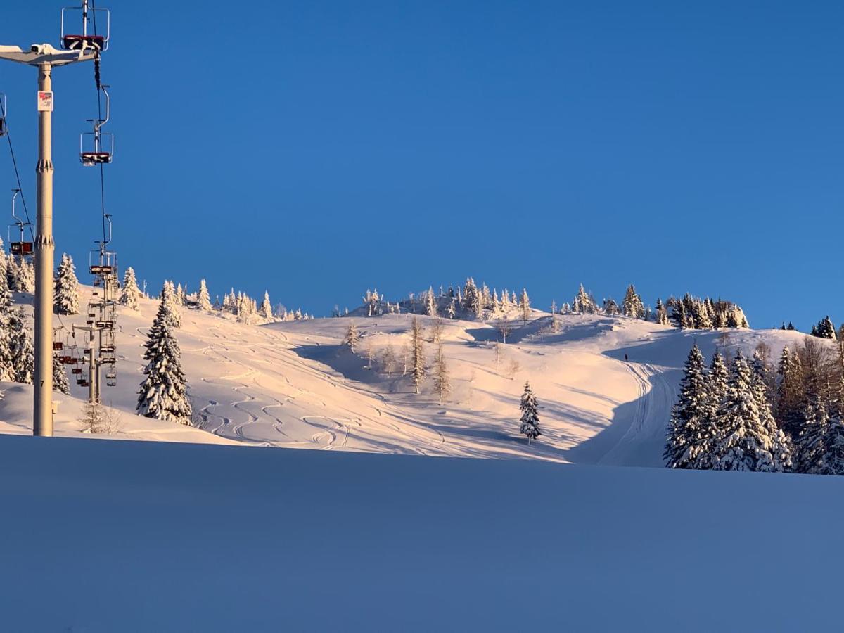 Velika Planina - Chalet Stane - Alps Stahovica Eksteriør billede