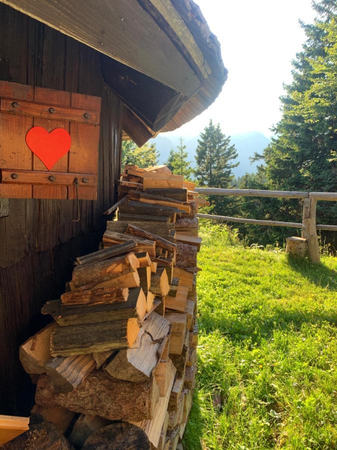 Velika Planina - Chalet Stane - Alps Stahovica Eksteriør billede