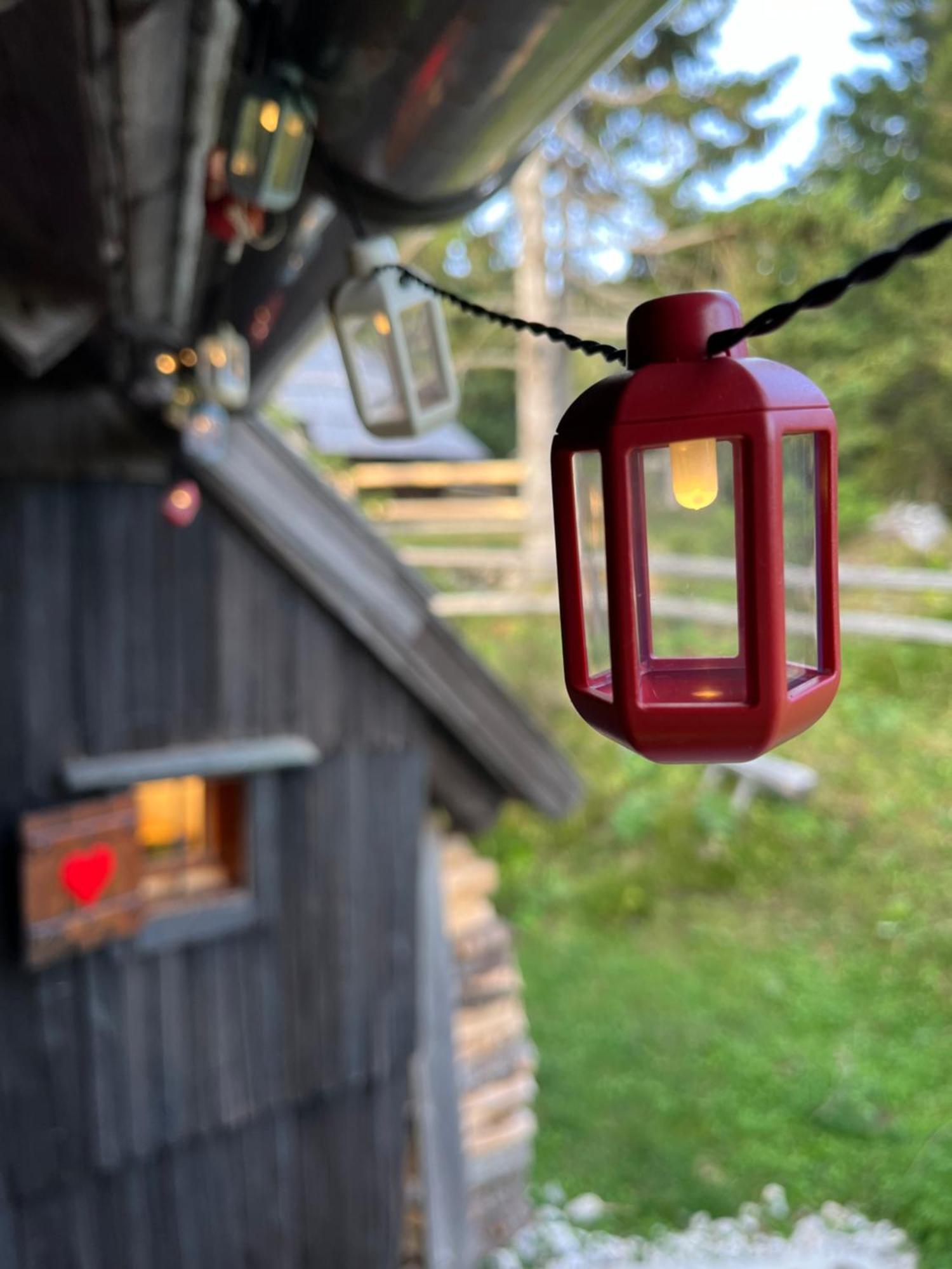 Velika Planina - Chalet Stane - Alps Stahovica Eksteriør billede