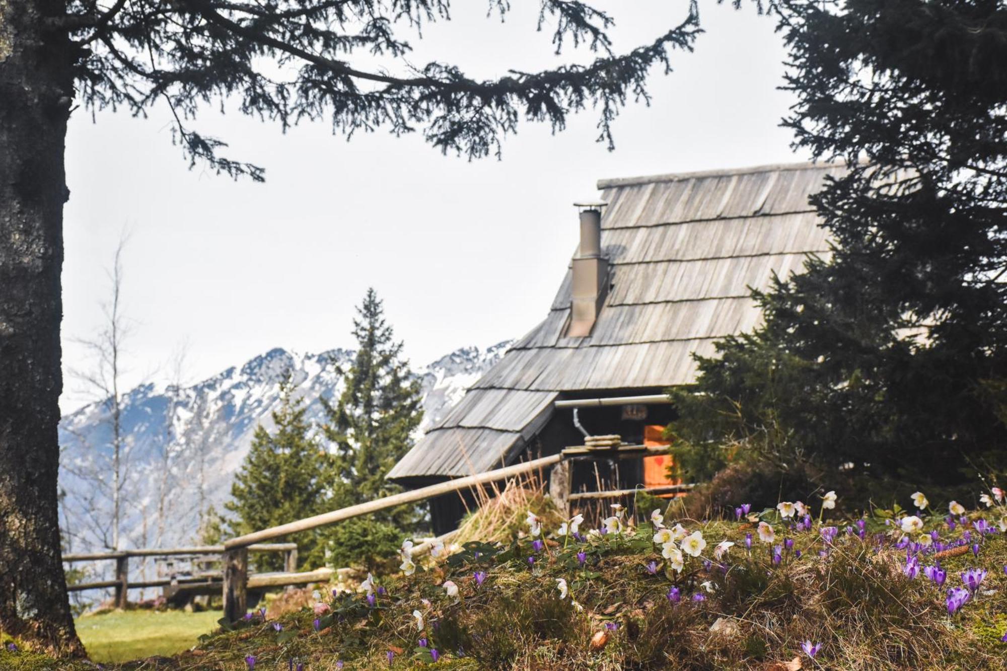 Velika Planina - Chalet Stane - Alps Stahovica Eksteriør billede