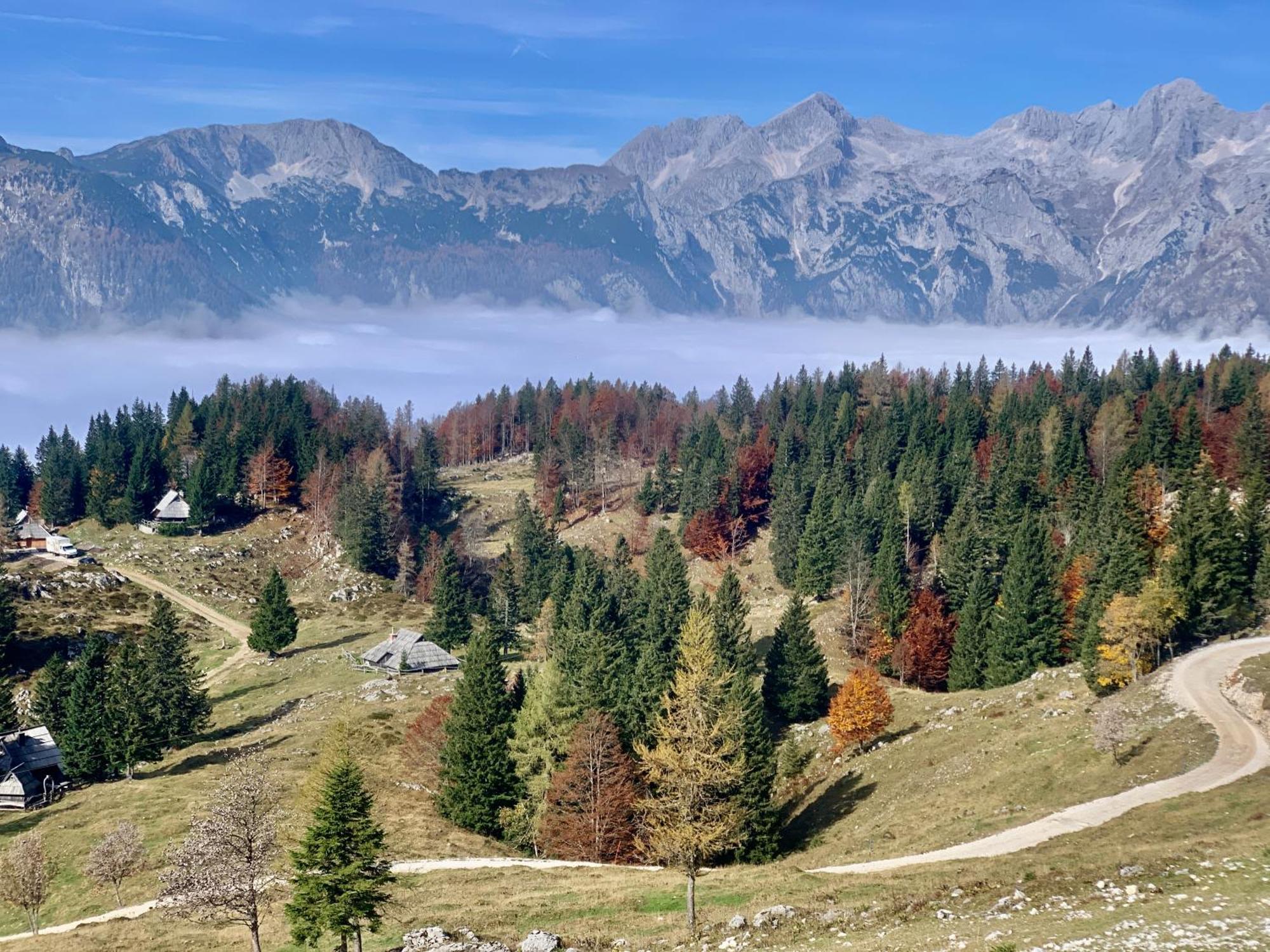 Velika Planina - Chalet Stane - Alps Stahovica Eksteriør billede