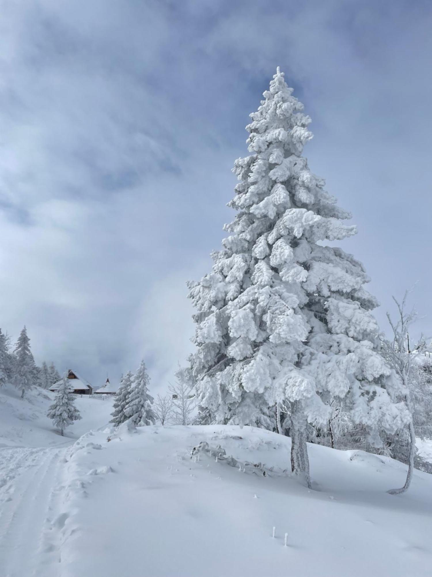 Velika Planina - Chalet Stane - Alps Stahovica Eksteriør billede