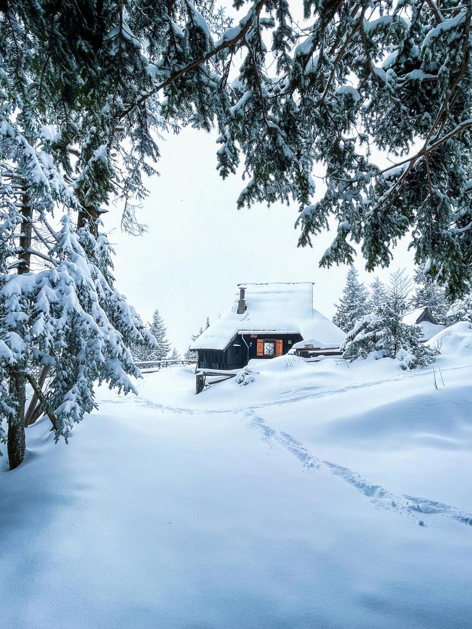 Velika Planina - Chalet Stane - Alps Stahovica Eksteriør billede